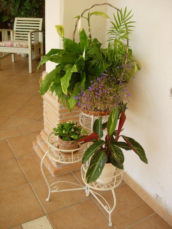 B&B Il Cantico Greccio Room photo